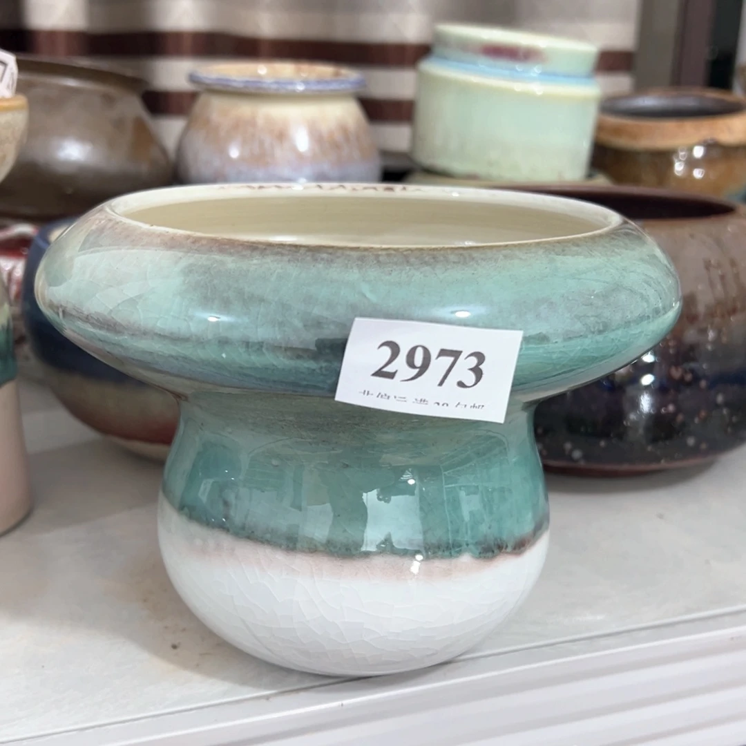 红陶20CM（含）-50CM（不含）