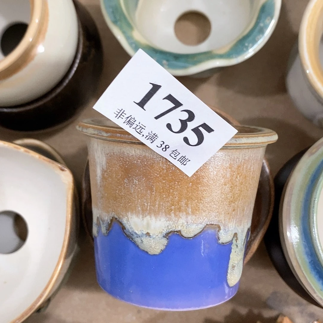 红陶20CM（含）-50CM（不含）