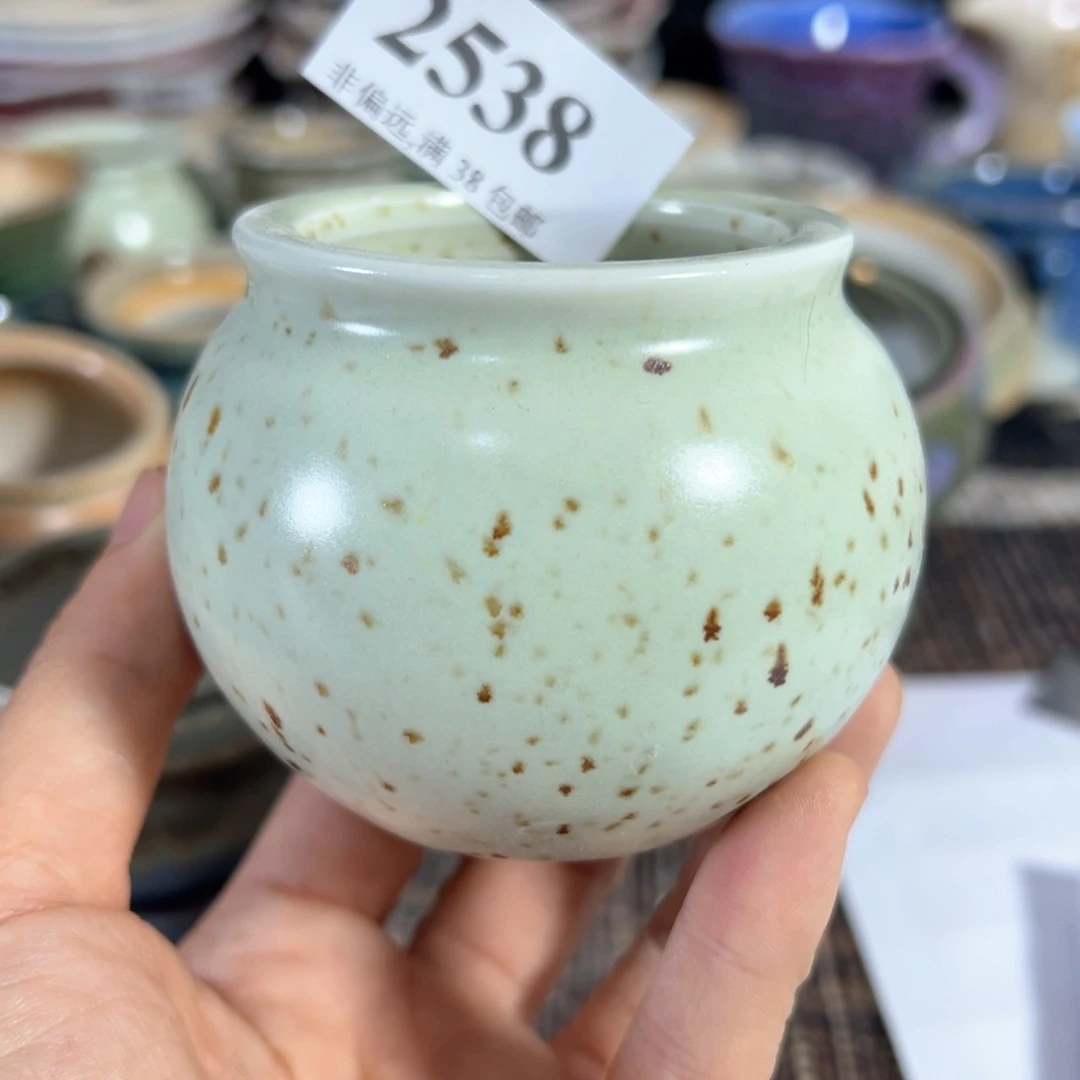 红陶20CM（含）-50CM（不含）