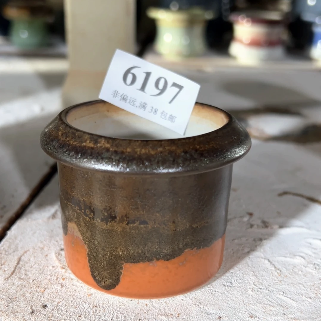 红陶20CM（含）-50CM（不含）