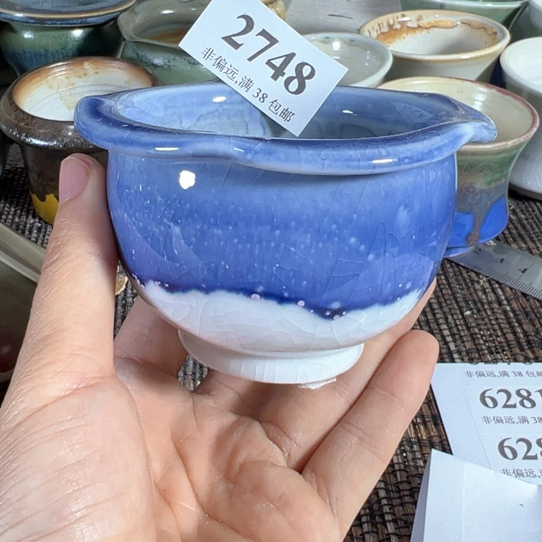 红陶20CM（含）-50CM（不含）