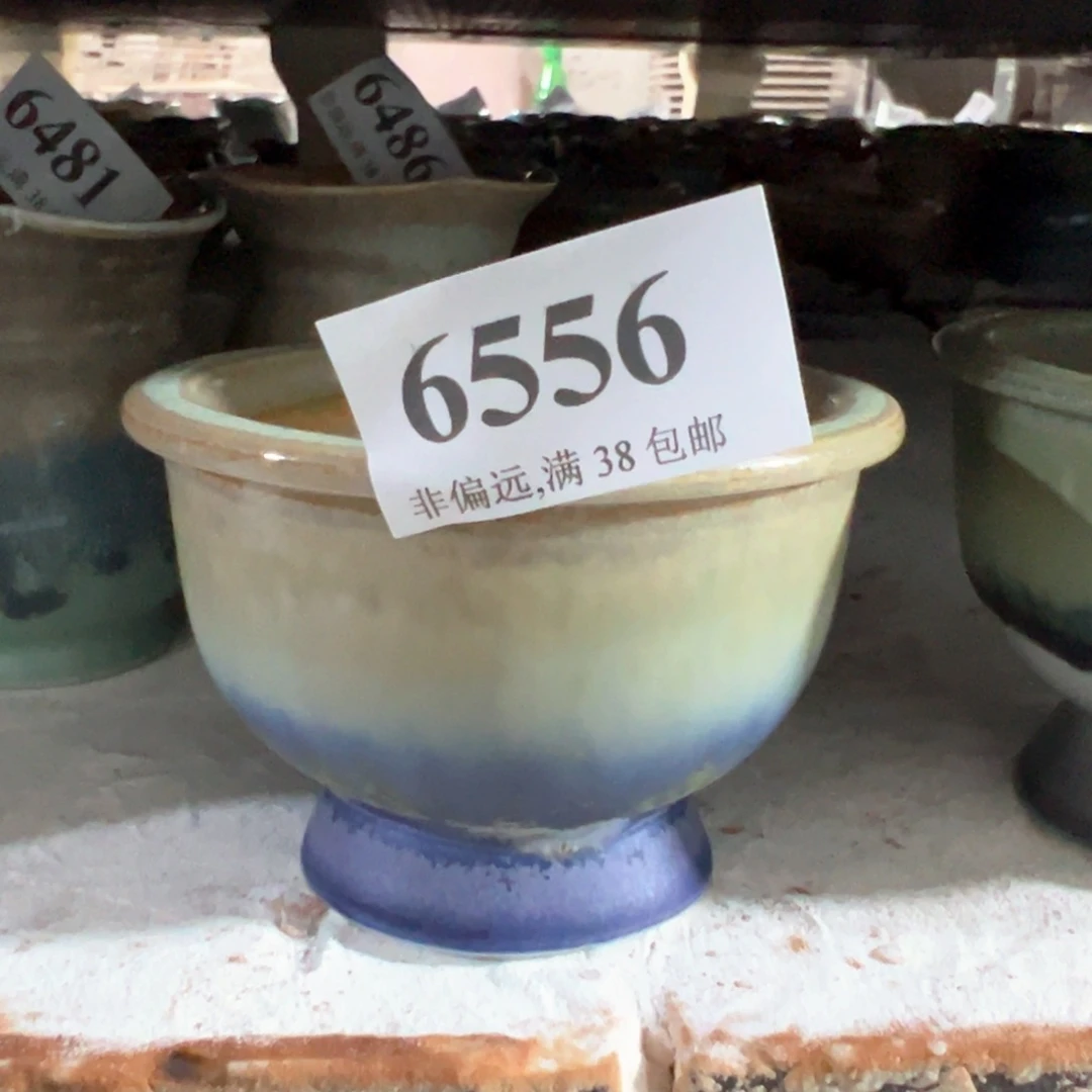 红陶20CM（含）-50CM（不含）