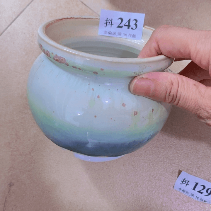 红陶20CM（含）-50CM（不含）福利