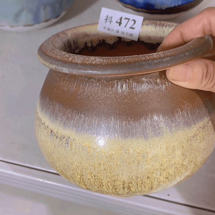 红陶20CM（含）-50CM（不含）