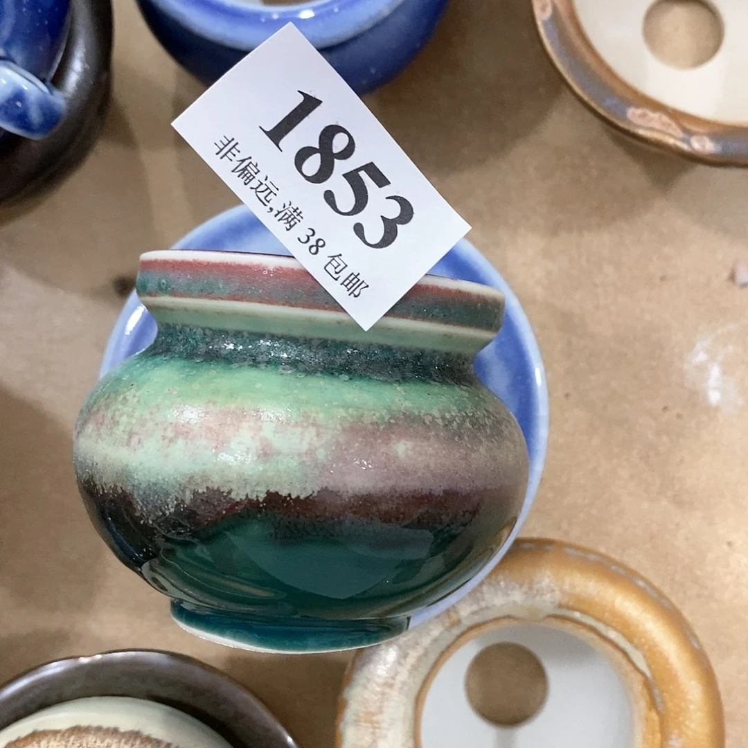 红陶20CM（含）-50CM（不含）