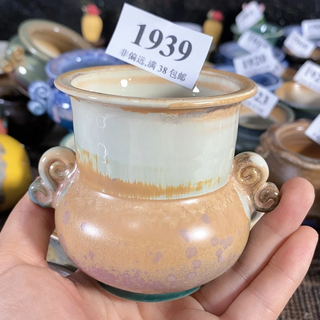 红陶20CM（含）-50CM（不含）