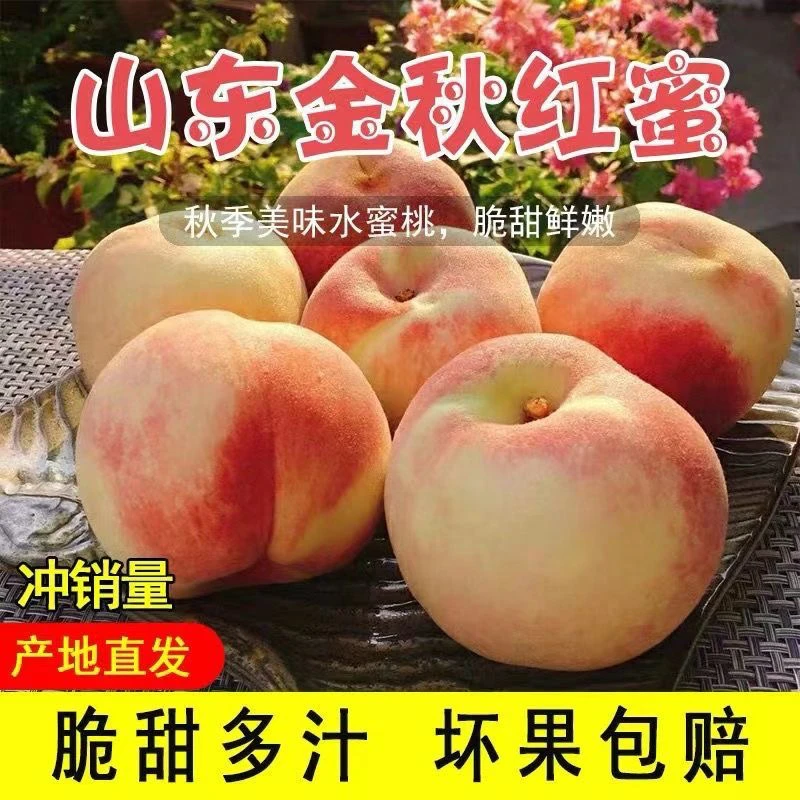 山东金秋红蜜 现摘现发 烂果包赔 爆甜多汁 孕妇水果