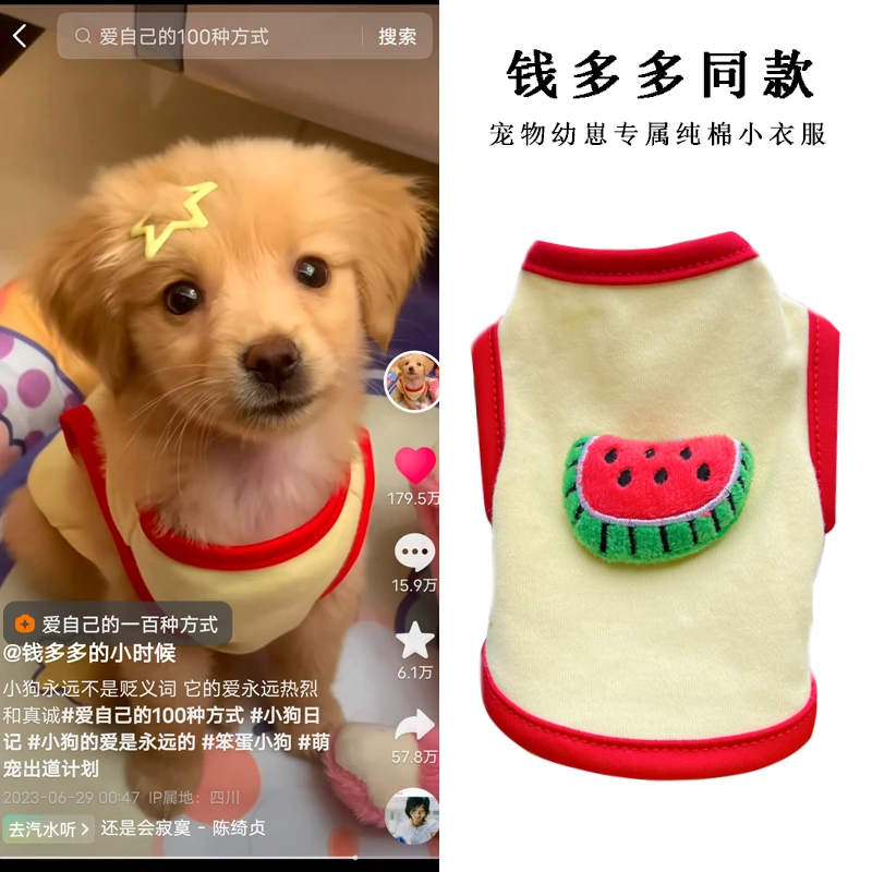 幼犬奶猫超小0到3个月特小幼崽衣服茶杯犬博美泰迪鹿犬夏季薄款