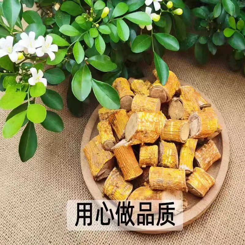 野生 穿破石 黄龙退壳 九层皮