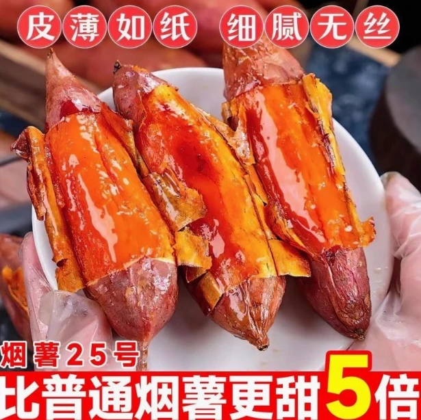 正宗山东烟薯25号五斤流油流蜜烤地瓜红薯当季新鲜现挖现发圆胖果