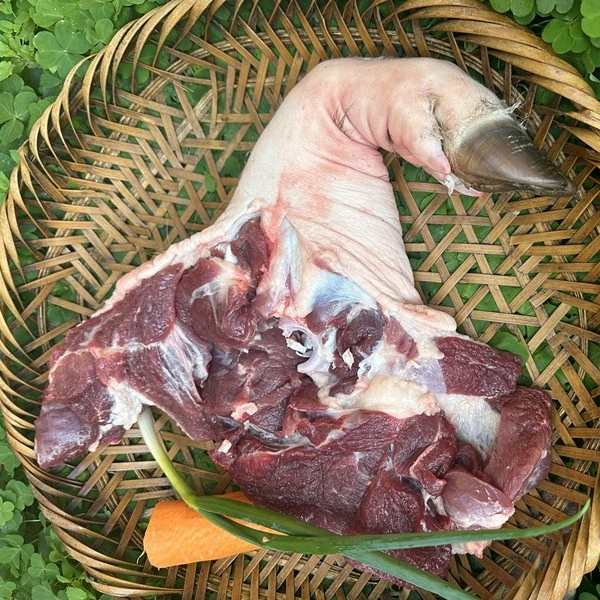 前脚后脚 水哥野二代跑山猪肉土猪猪蹄食用猪肘冷鲜鲜嫩新鲜冷链