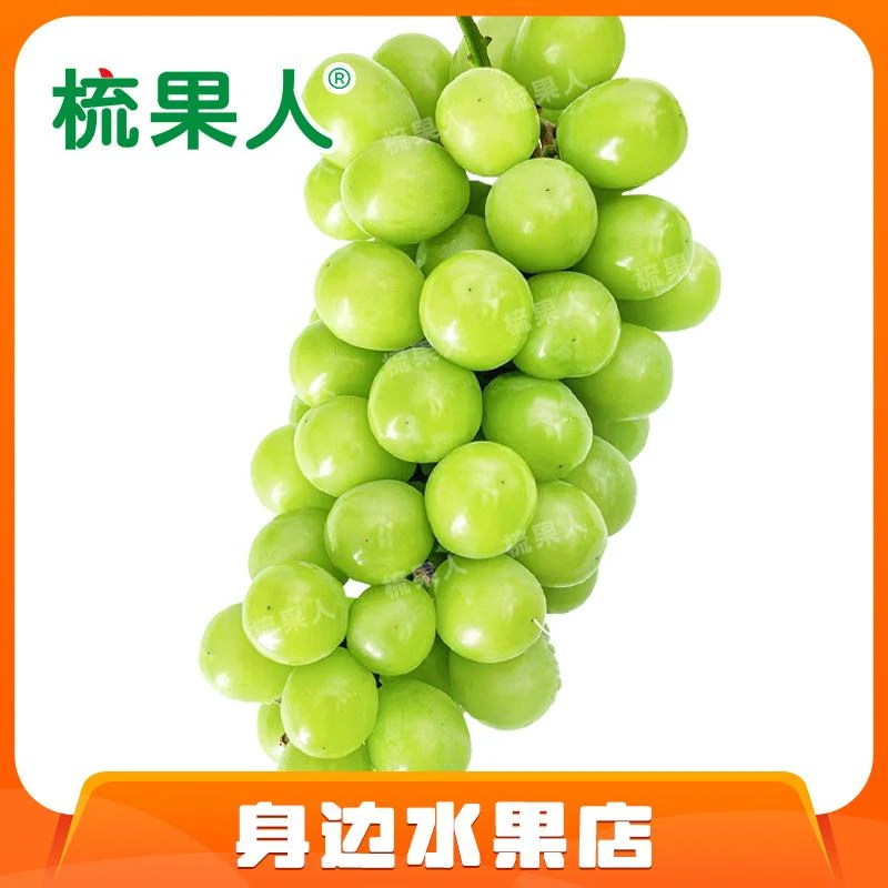 【家庭分享装】阳光玫瑰葡萄2-3串 约2.5-3斤