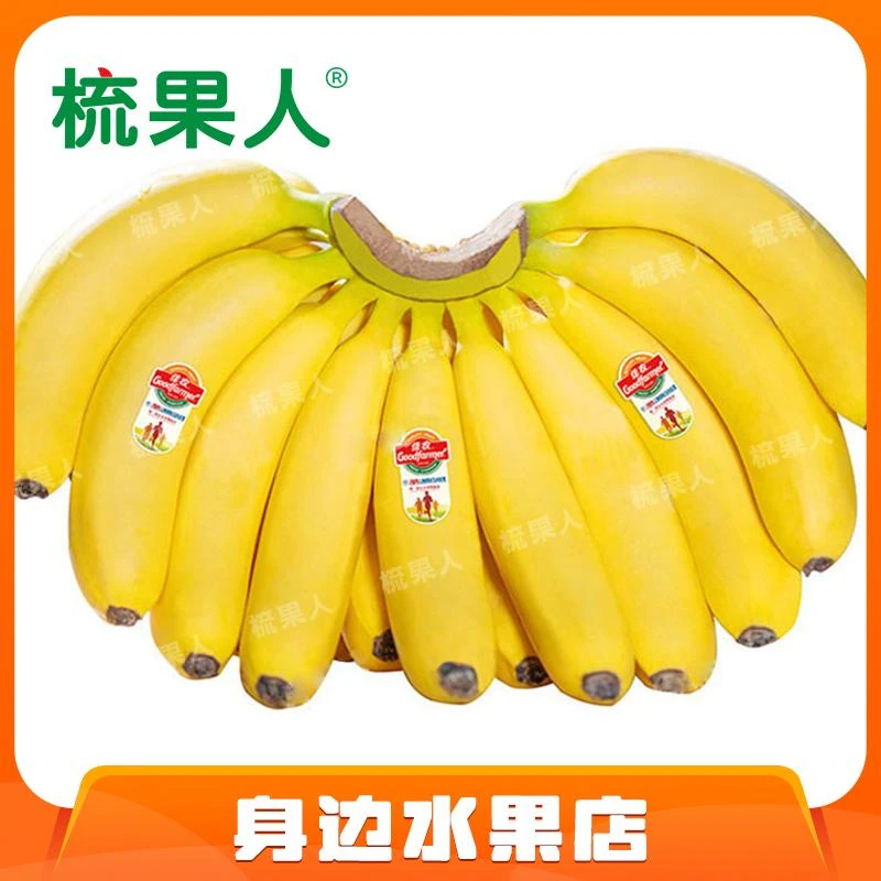 【家庭分享装】佳农香蕉小把 约3斤