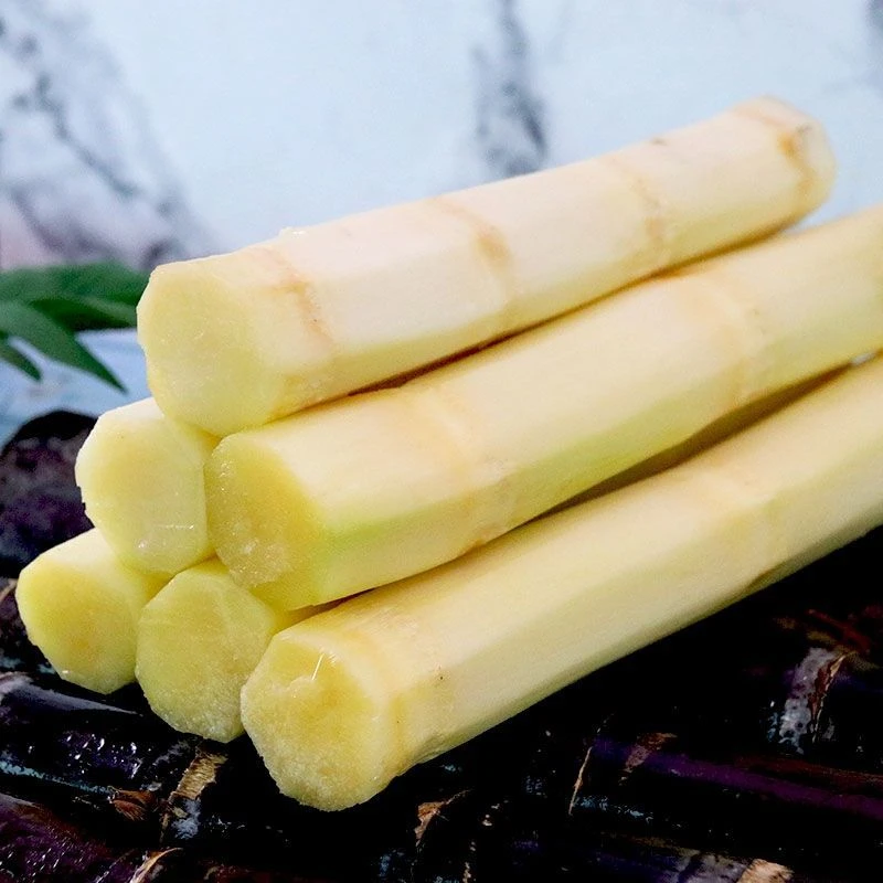 【坏果包赔】广西黑皮甘蔗现砍超甜新鲜应季水果5/9斤脆甜多汁
