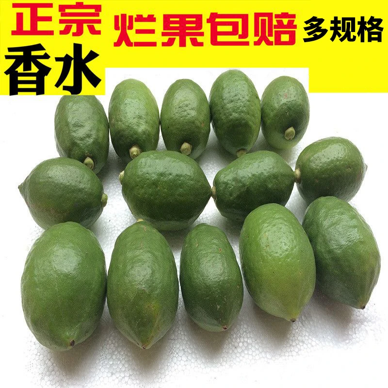 无籽香水柠檬海南无籽香水清凉青柠檬青柠新鲜水果广东香水柠檬
