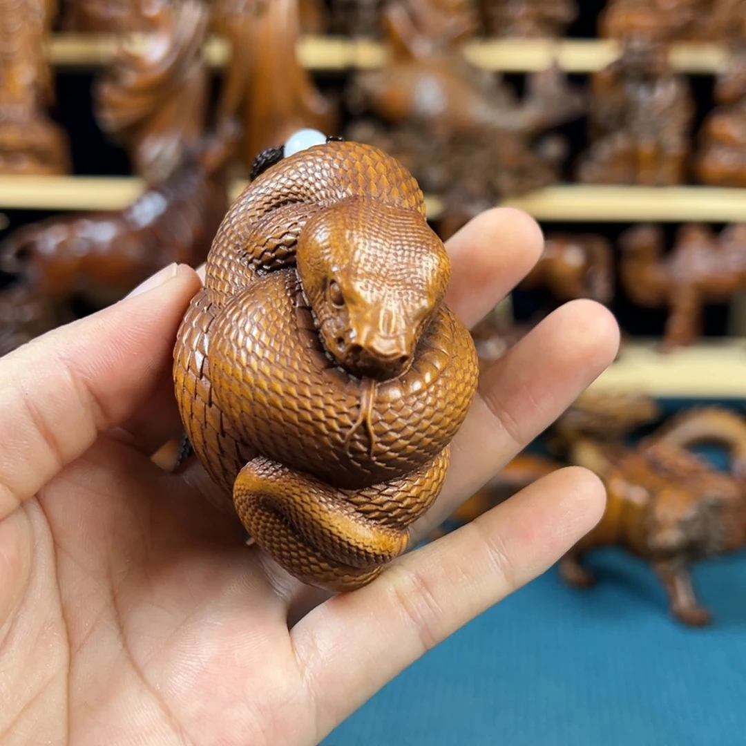 黄杨木小叶黄杨木