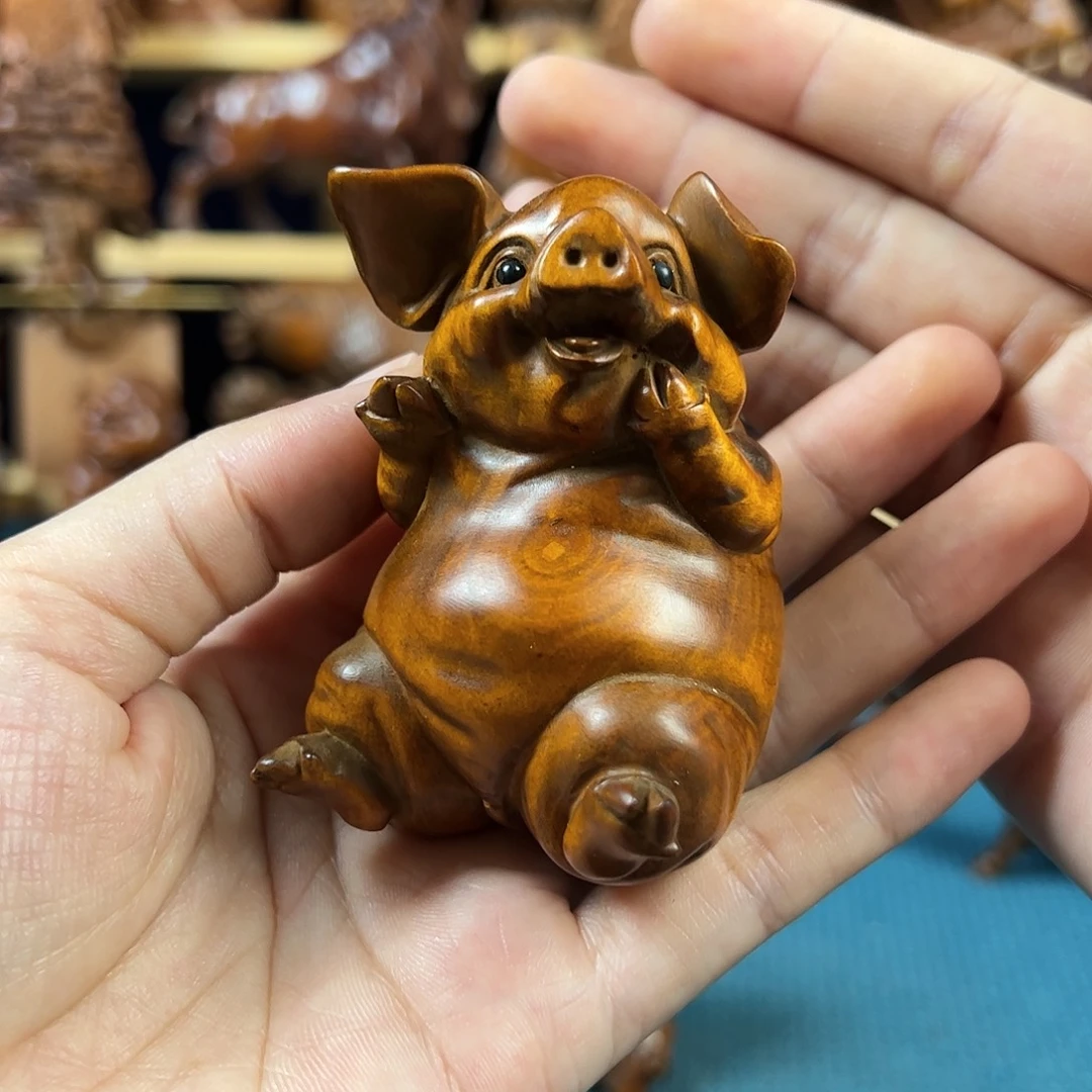 黄杨木小叶黄杨木