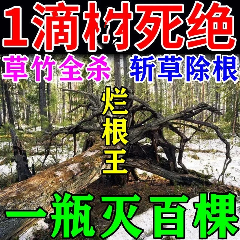 强力除灌木杀大竹王烂根快速杀死枯死草根专用药灭一针灵三滴死绝