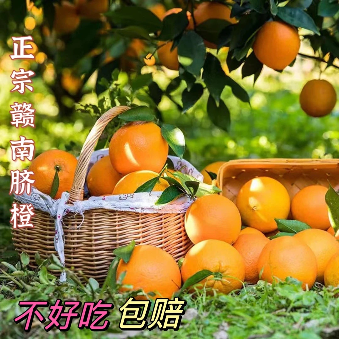 【比大网红便宜】正宗赣南脐橙江西赣州寻乌10斤新鲜现摘果园直发