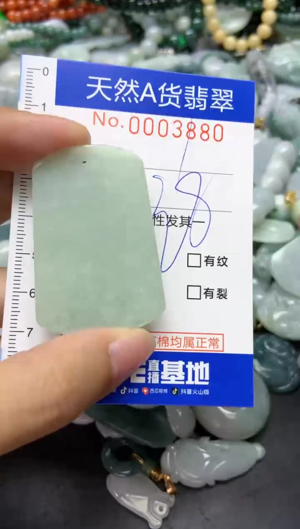 【闪购商品】翡翠颈饰未镶嵌880天然翡翠
