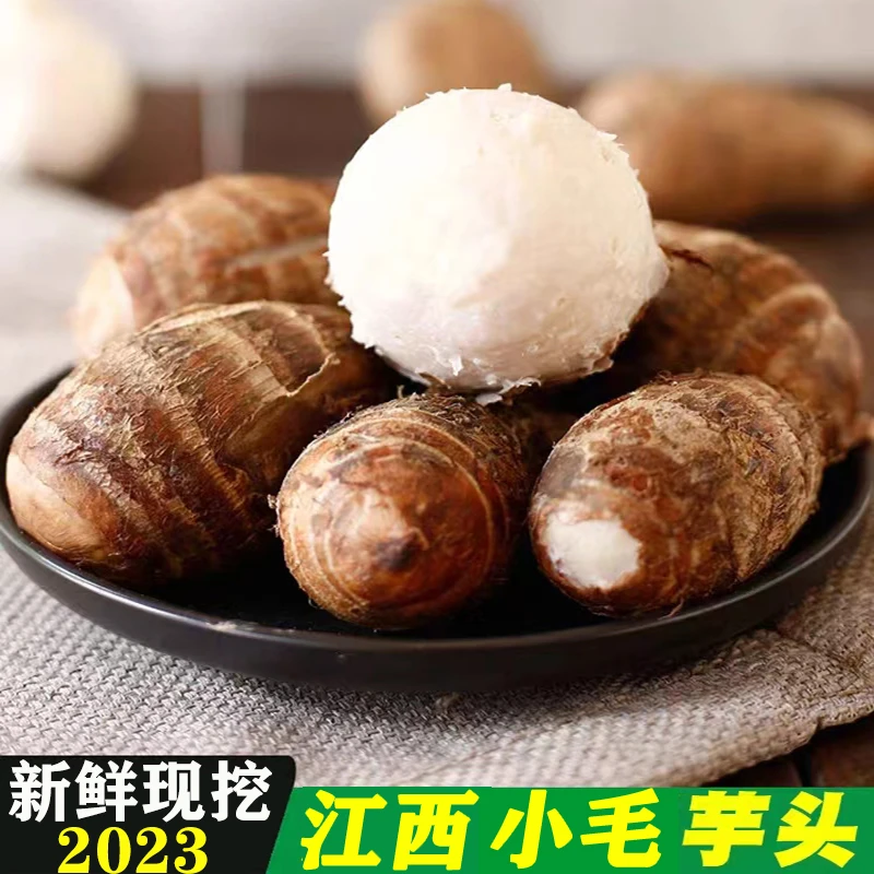 【坏果包赔】江西新鲜红芽芋头粉糯软滑毛芋头母红牙芋艿子1//3/5斤