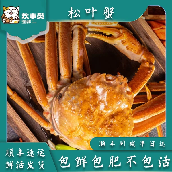 两只鲜活俄罗斯全腿松叶蟹 1.6-1.9斤/只 鲜活打氧发 包鲜不包活