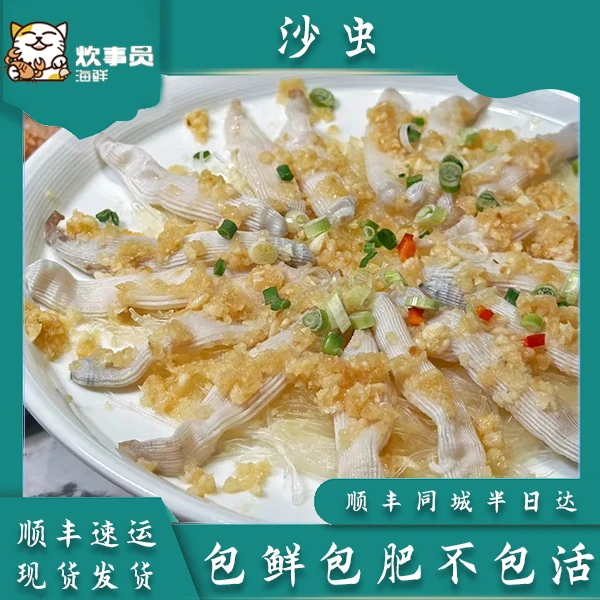 【帮处理】三斤鲜活沙虫 处理好发到手约1.2-1.5斤野生沙虫非鲜活发