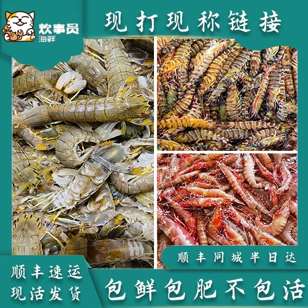 送现称海鲜鱼虾蟹贝类