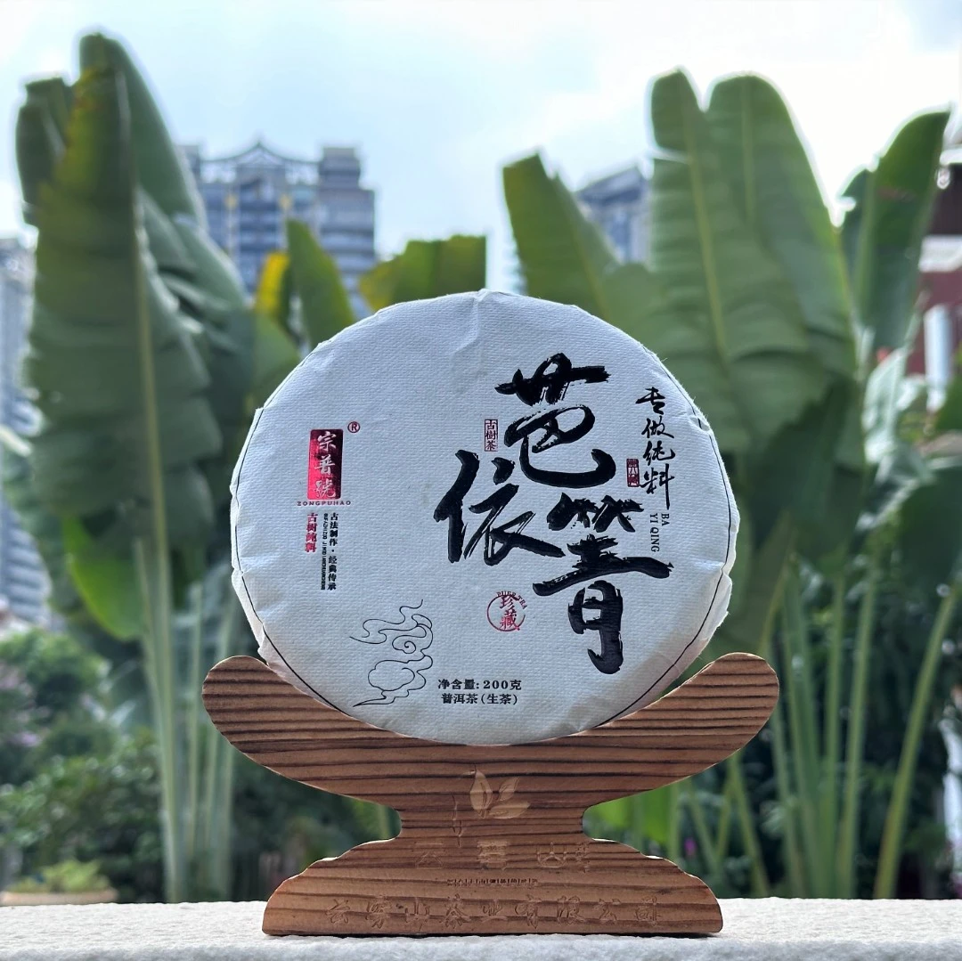 2024·芭依箐古树头春生茶普洱茶纯料