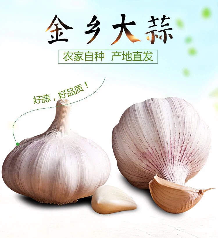 干蒜大蒜新鲜干蒜爽口农家种植辛辣好吃腊八蒜红皮大蒜坏果包赔