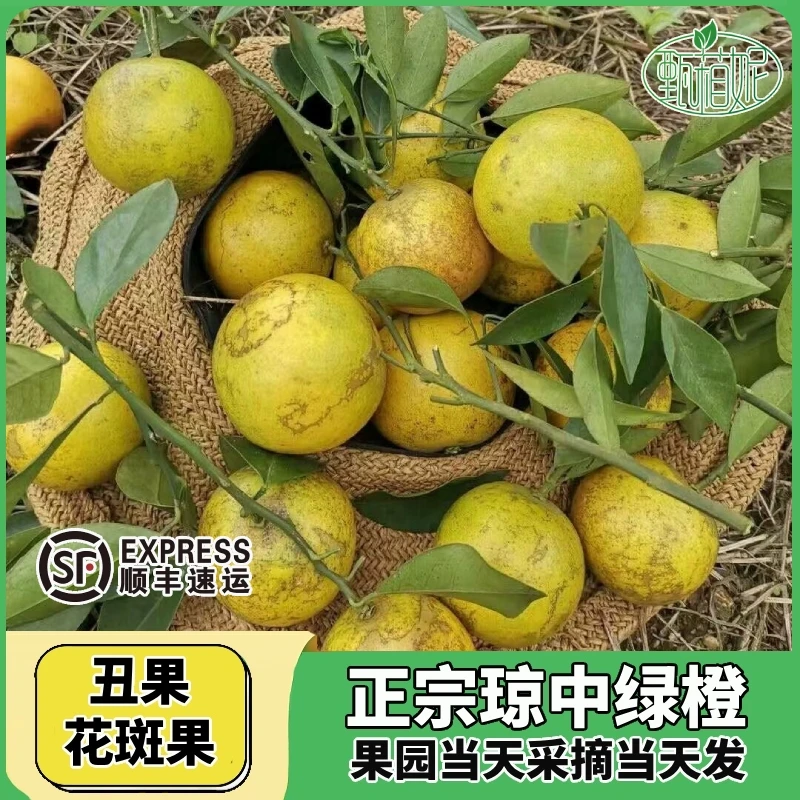 【顺丰】正宗海南琼中绿橙5/8.5斤丑果花皮薄肉厚爆汁果园新鲜现摘