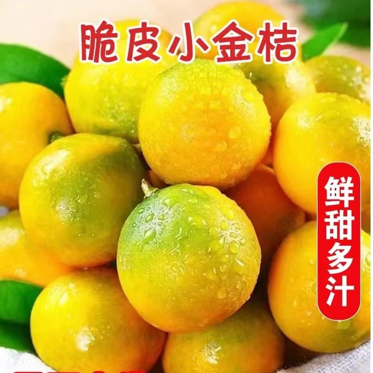 广西脆皮滑皮金桔皮脆纯甜5斤现摘现发独立包装脆蜜金桔脆蜜
