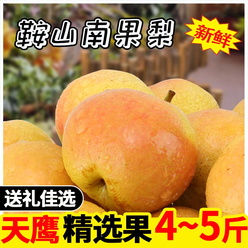 鞍山南果梨海城南国梨4斤精品礼盒鞍山特产皮薄汁多当季新鲜水果