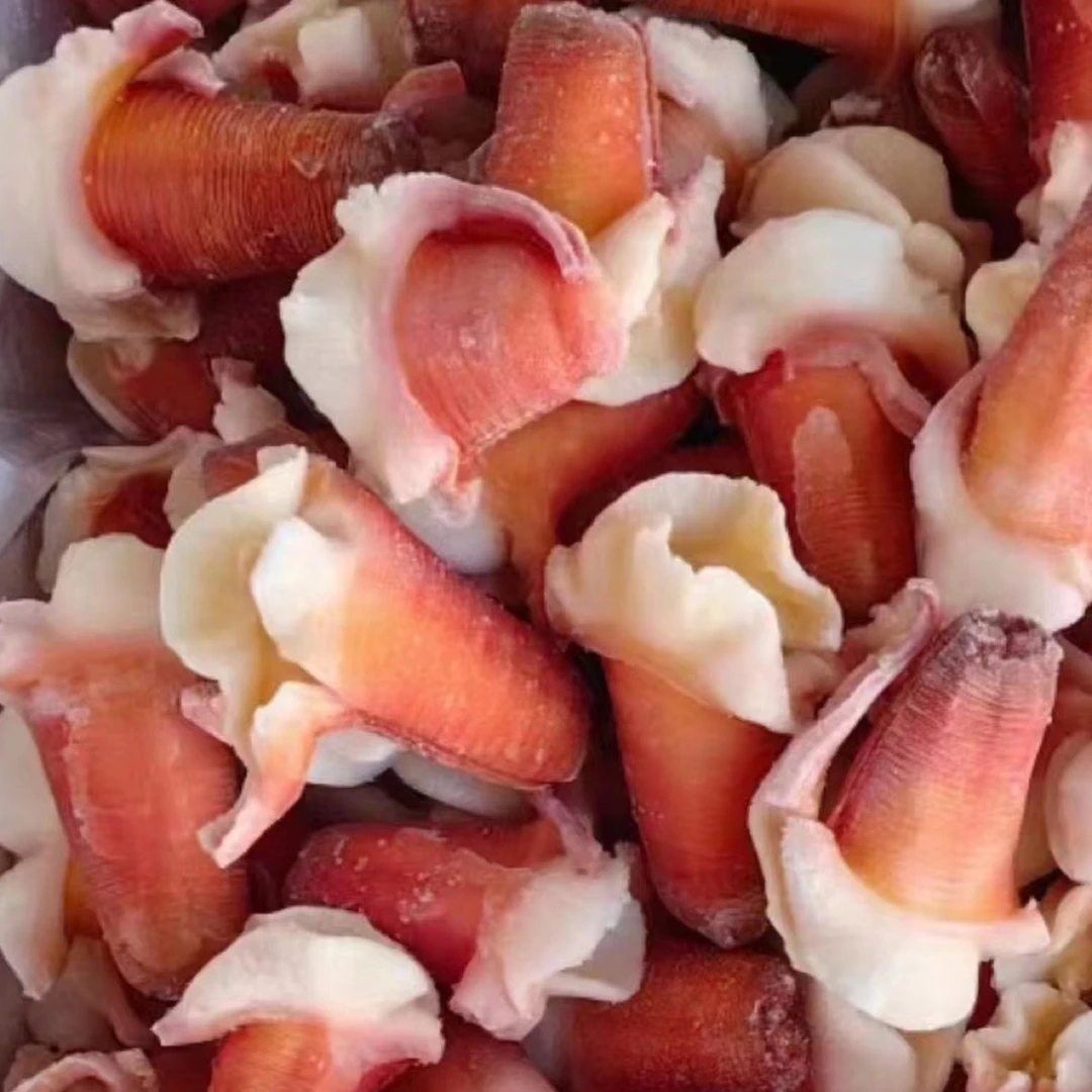 熟制海鲜 xy兰花蚌 马贝嘴 北极贝嘴 北极贝 麻辣兰花蚌