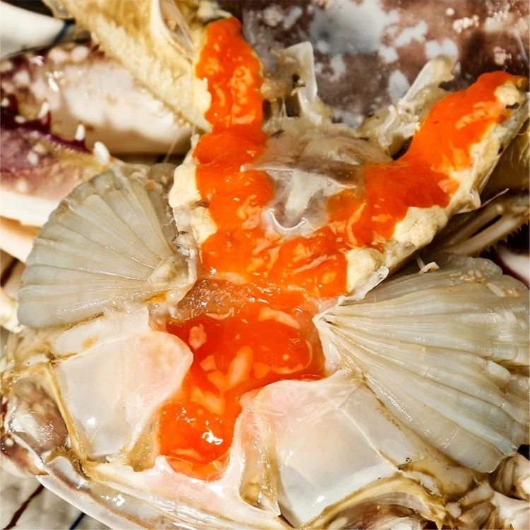 舟山特产飞机红膏呛蟹6-8两/只酱蟹梭子蟹醉蟹生腌蟹  不可蒸煮