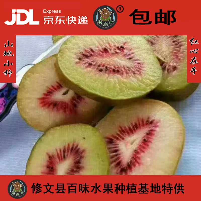 红心猕猴桃营养果含箱10斤