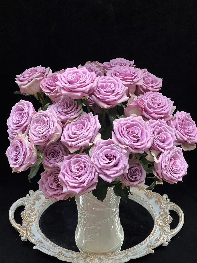 紫霞仙子多头玫瑰，基地直发，顺丰包邮