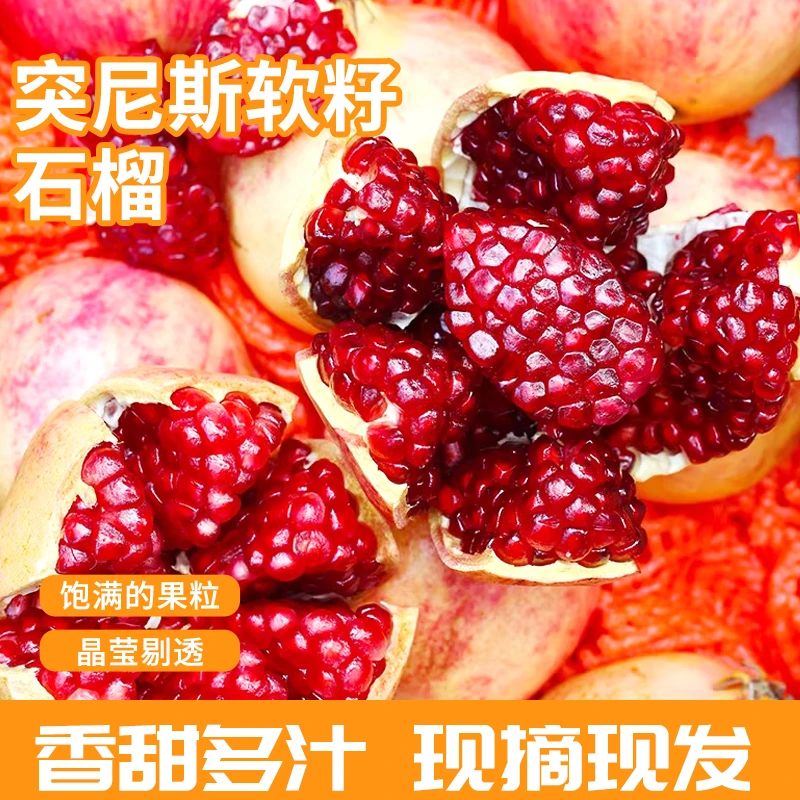 四川会理突尼斯软籽石榴 坏果包赔 新鲜采摘 应季水果 饱满甜脆
