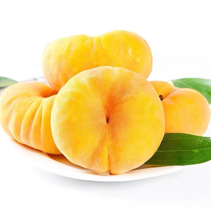 山东蒙阴蜜桃之乡黄金毛蟠桃坏果包赔蒙阴桃子
