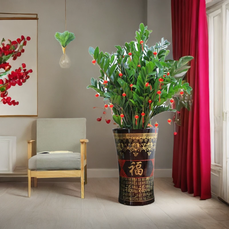 【大件顺丰包邮】金钱树大盆栽绿植客厅乔迁开业送礼钱串子办公室