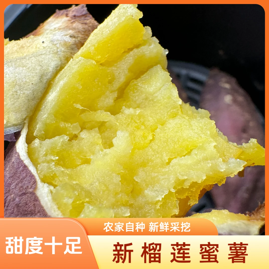 广西奶黄百香薯软糯香甜5斤新鲜采挖 农家自种烤番薯甄选