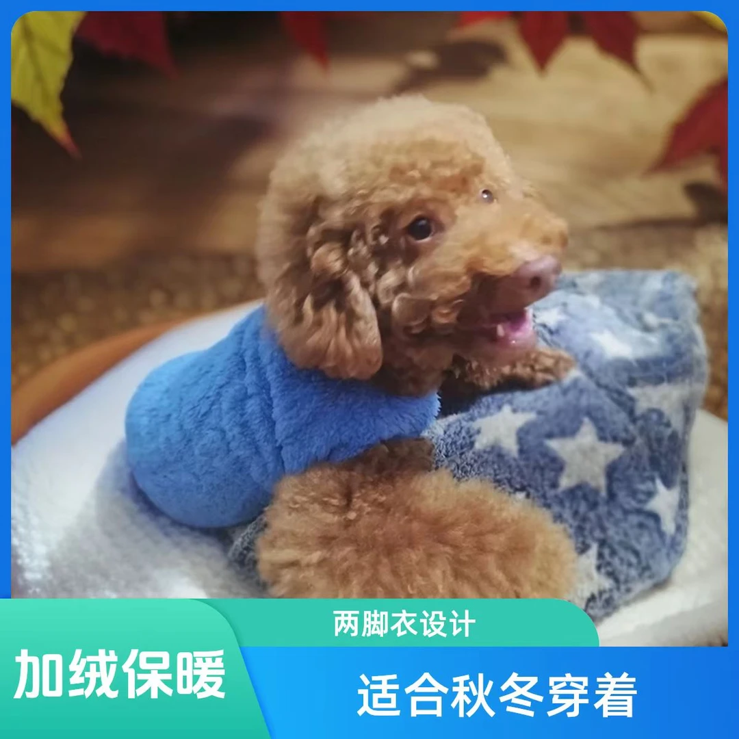 宠物衣服加绒棉衣比熊雪纳瑞博美泰迪犬狗猫咪秋冬保暖小狗狗衣服