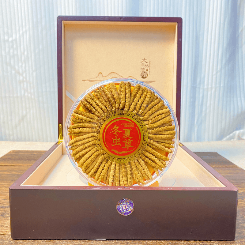【小胖虫草批发】冬虫夏草100根中大草装虫草礼盒正品高海拔虫草