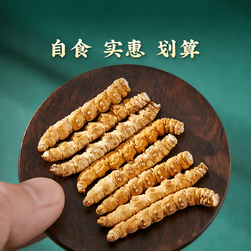 【小胖虫草批发】冬虫夏草10克断草虫草正品送礼高海拔虫草