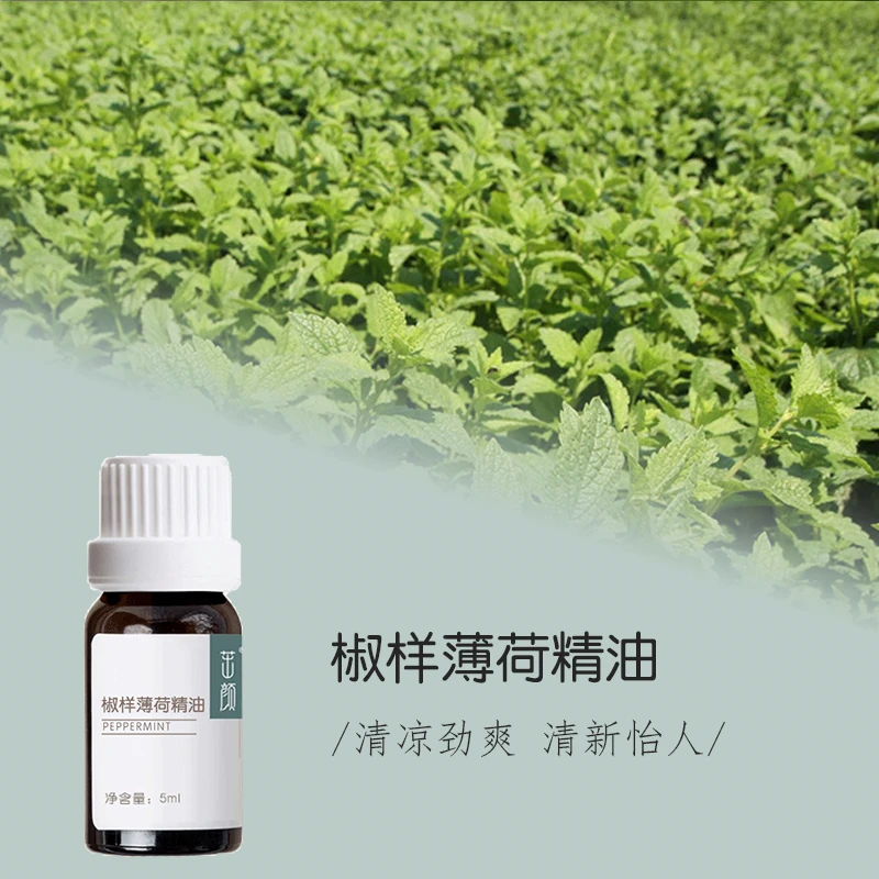 【三瓶装】茁颜椒样薄荷5ml印度 单方精油胡椒薄荷精油辣薄荷精油