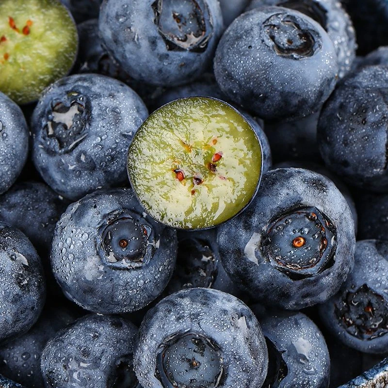 蓝莓酸甜可口（份/四盒）