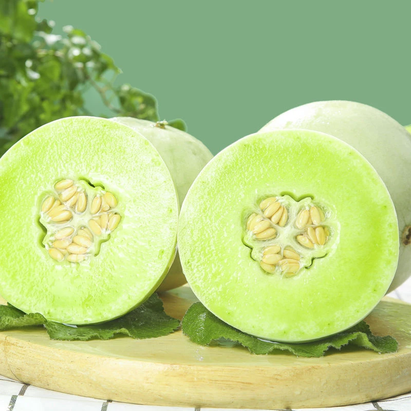 （礼盒装）奶香蜜瓜整箱（仅限大同平城区云冈区可拍）