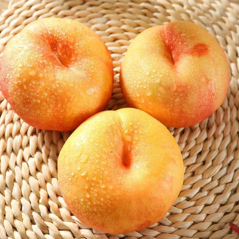 彩虹油蟠桃黄心扁桃(份/3斤装)(大同平城区云冈区可拍)