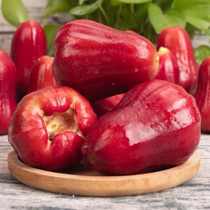 海南正宗莲雾果黑金刚莲雾（仅平城区云冈区可拍）