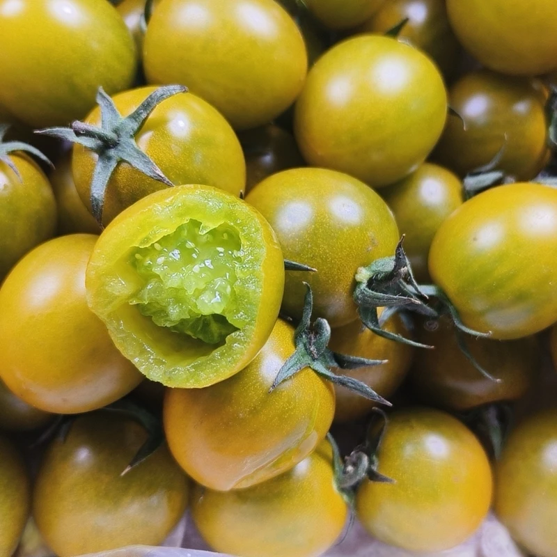 阳光小番茄（份/三斤装）（仅限大同平城区云冈区可拍）